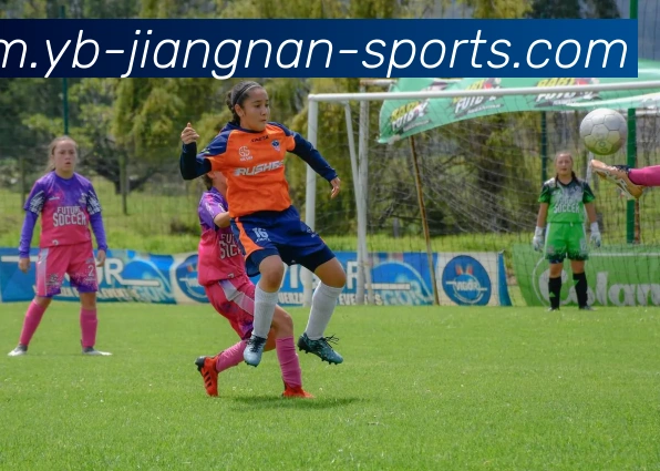 江南体育平台生态图