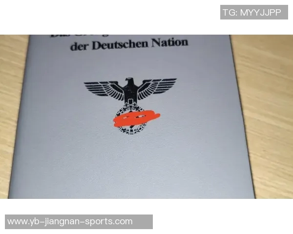 德佩因护照失踪怀疑被盗紧急申请新护照应对困境